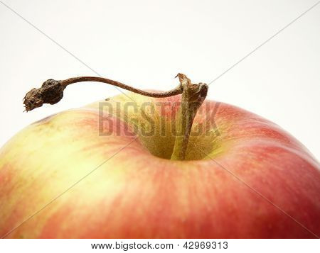Apple.
