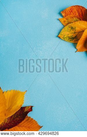 Autumn Background Frame With Leaves On Bright Blue Surface. Colorful Greeting Card, Promotion Flyer,