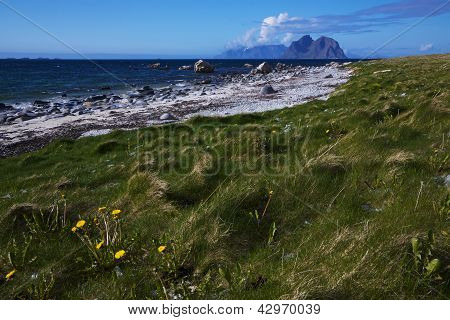 ชายหาดบนเกาะ Lofoten