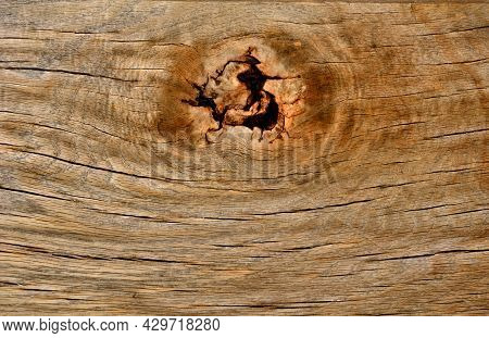A Wooden Oak Prism Serves As A Bench In The Garden. For Better Drying Of The Wood, Grooves Are Mille