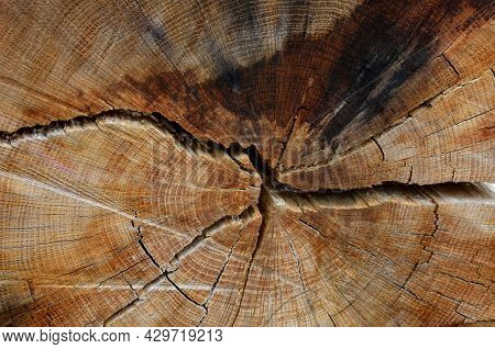 A Wooden Oak Prism Serves As A Bench In The Garden. For Better Drying Of The Wood, Grooves Are Mille