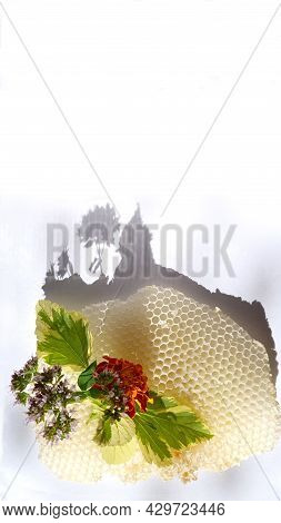 Oregano And Tagetis Flowers On A Honeycomb On A White Background