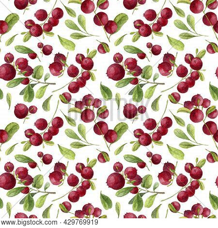 Watercolor Seamless Pattern With Red Berry And Green Leaves. Hand Drawn Illustration On White Backgr