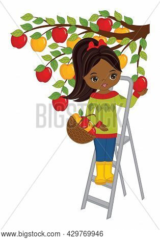 Vector Beautiful African American Girl Picking Apples From The Tree. Black Girl With Ponytail Wearin