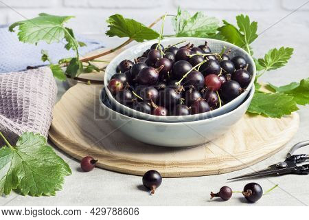 The Jostaberry (ribes X Nidigrolaria) Hybrid Of A Black Currant And Gooseberry In A Bowl