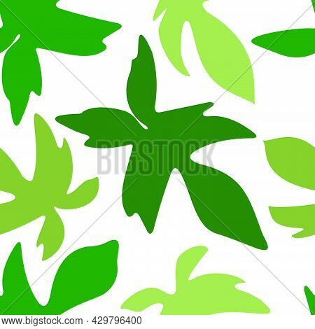 Philodendron Florida Pedatum Ghost Beauty Squamiferum Leaf Aroid Pattern Seamless Vector Template On
