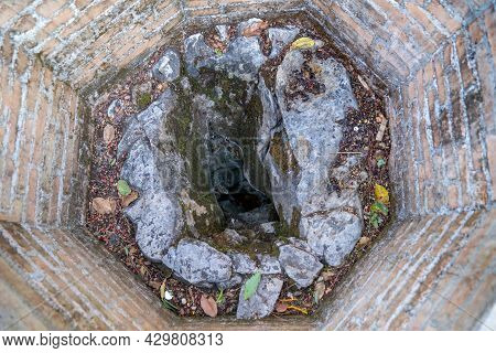 Close Up In The Hole Inside The Tung Tree, The Spiritual Area In Wat Phra That Doi Tung Temple, Chia