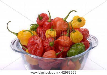 Habanero Chilis ในชามแก้ว