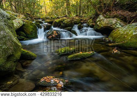 Leaves Cling To Rocks In Rushing Creek In Great Smoky Mountains National Park