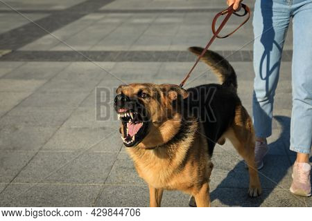 Woman With Her Aggressive Dog Outdoors, Closeup