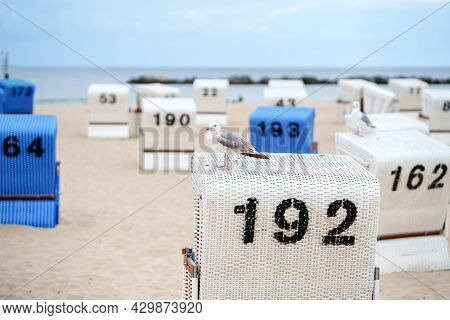 Traditional German Roofed Wicker Beach Chairs On The Beach Of Baltic Sea. Beach With Chairs On Storm