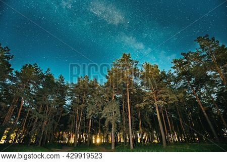 Green Trees Woods In Park Under Night Starry Sky With Milky Way Galaxy. Night Landscape With Natural