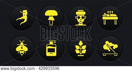 Set Bee, Acupuncture Therapy, Bottle Of Liquid Soap, Plant, Facial Cosmetic Mask, Mushroom, Scented 