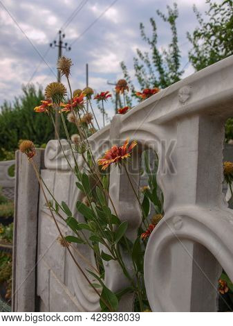 A Gray Stone Fence With Decorative Flowers Sticking Out Against A Cloudy Sky. Beautiful Flowers Of G