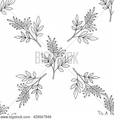 Bitter Wood, Seamless B-w Dd Ww Herb
