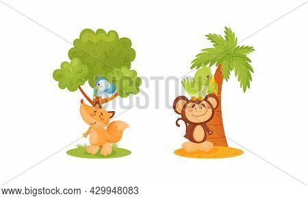 Adorable Animals Measuring Height Set. Cute Monkey, Fox And Birds Animals Comparing Height Cartoon V