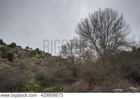Views Of The Manzanares River Along Its Course Through The Municipality Of Colmenar Viejo, In The Pr