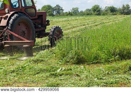 Tractor Mounted Rotary Mower During Mowing Of Hay On A Hayfield At Summer Day, Fragment Close-up