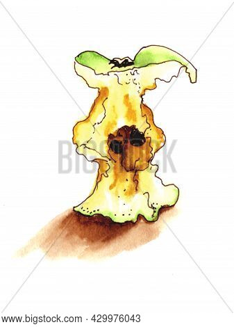 Apple Core Watercolour Hand Drawn Sketch For Your Design