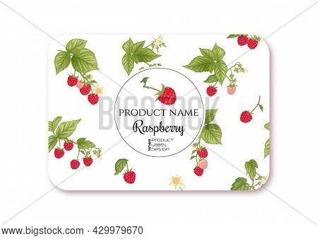 Raspberry. Ripe Berries On Branch. Template For Product Label, Cosmetic Packaging. Easy To Edit. Gra