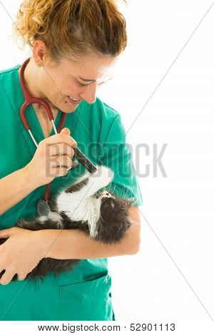 Veterinary with kitten