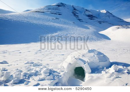 雪屋