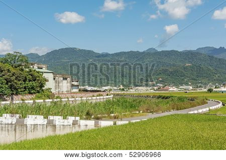 Rural scenery of Hualien with paddy farm and mountain faraway in Hualien, Taiwan, Asia.