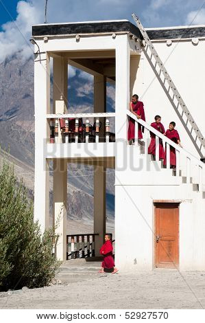 Tibetan Boys, Novice Buddhist Monks. India