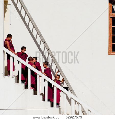 Tibetan Boys, Novice Buddhist Monks. India