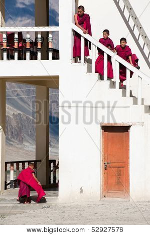 Tibetan Boys, Novice Buddhist Monks. India
