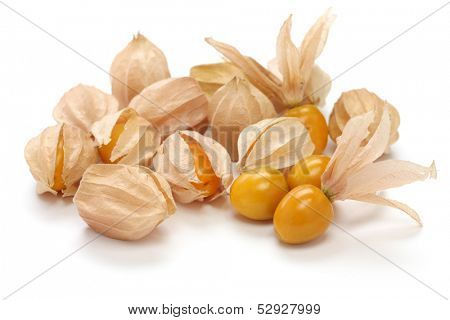 physalis, edible husk tomato