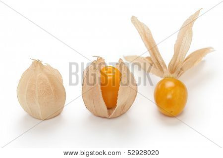 physalis, edible husk tomato