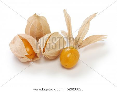 physalis, edible husk tomato