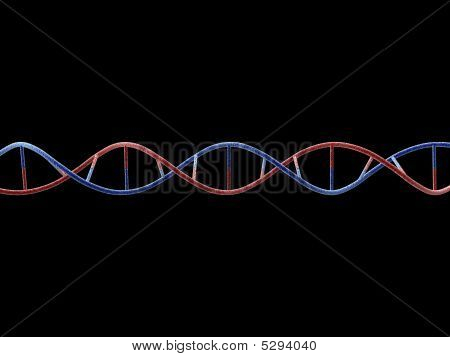 Molécule d'ADN
