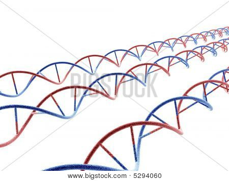 Molécules d'ADN