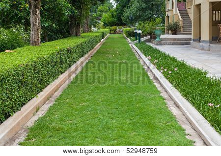 Green Grass Pathway In A Lush Green Park
