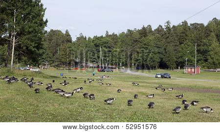 RUISSALO, FINLAND - JUNE 30 - 2013
