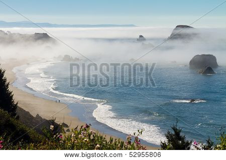 foggy morning, Oregon coast