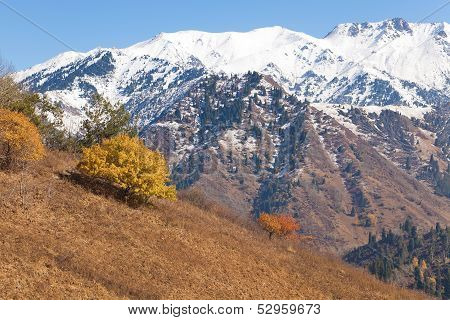 Autumn in Kazakhstan mountains