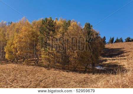 Autumn in Kazakhstan mountains