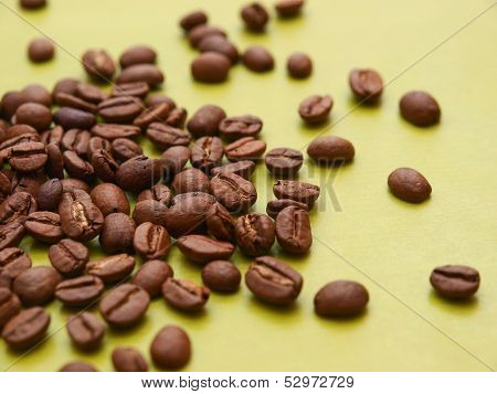Photo of coffee beans on green background