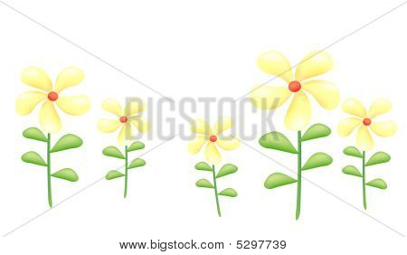 กลุ่มสีเหลือง Daises