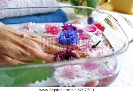 Urter og blomster til kvinde hænder pleje