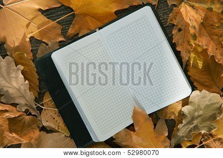 Autumn