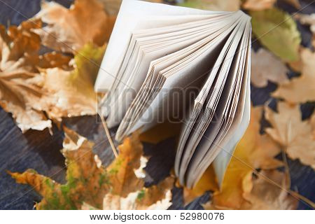 Autumn Book