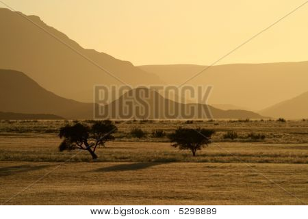 Alba nel deserto