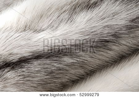 Pastel black cross mink fur texture