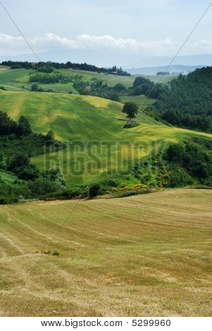 Paesaggio rurale di estate