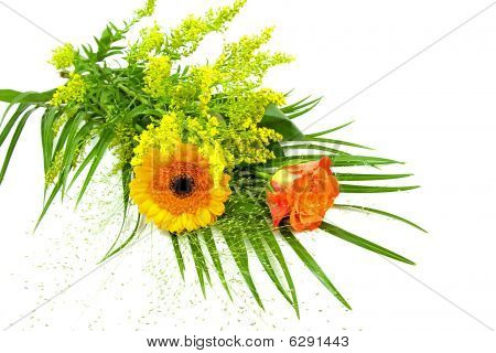 ดอกไม้สีส้ม และสีเหลือง