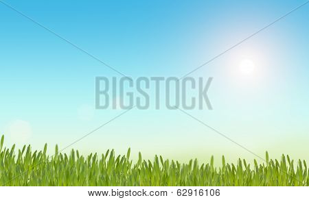 Easter Background